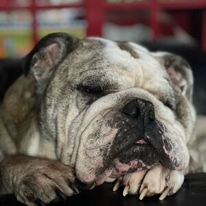 Meet your Posher, Marie